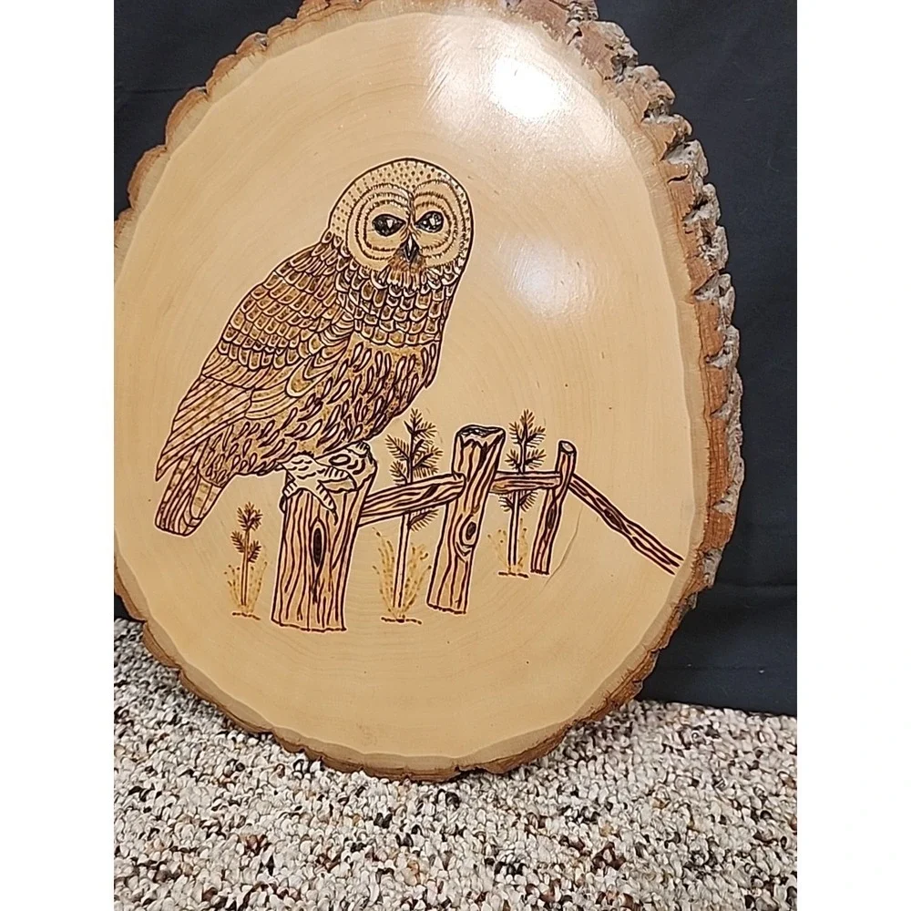 Hand Crafted Wood Burned Owl  Plaque Art Wall Hanger